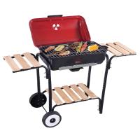 Dcg barbeque elettr con stand